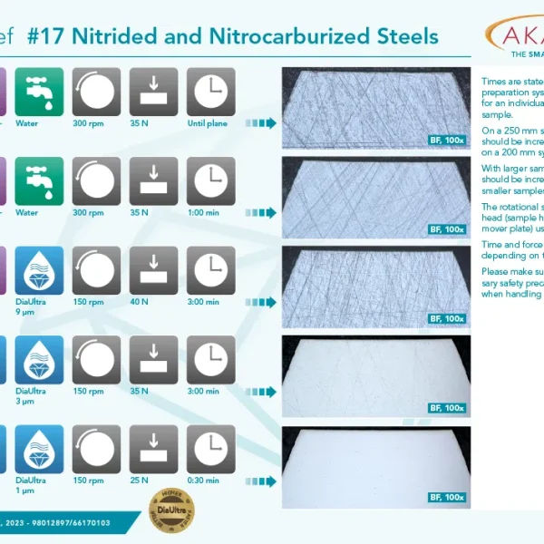 Nitrided and Nitrocarburized Steels
